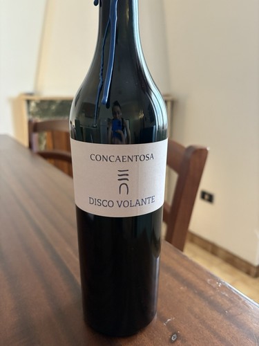 Disco volante concaentosa - volante,